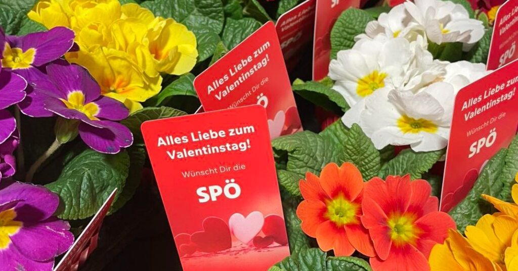 Valentinsaktion der SP&Ouml; Paternion &ndash; ein Blumengru&szlig; von Herzen