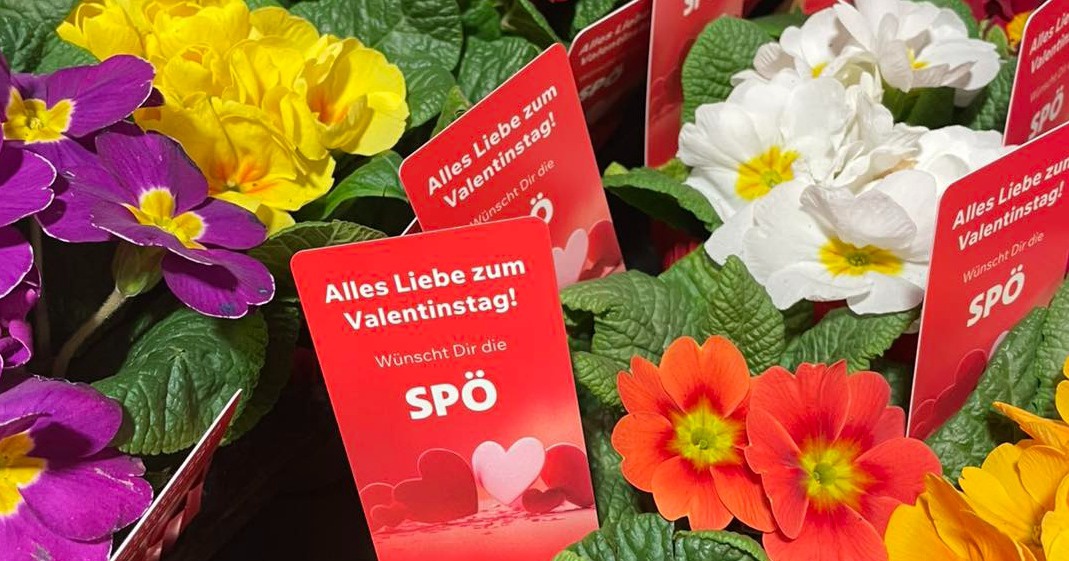 Valentinsaktion der SP&Ouml; Paternion &ndash; ein Blumengru&szlig; von Herzen